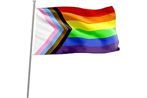 Progress Pride Rainbow Flag for Pride-Filled Spaces