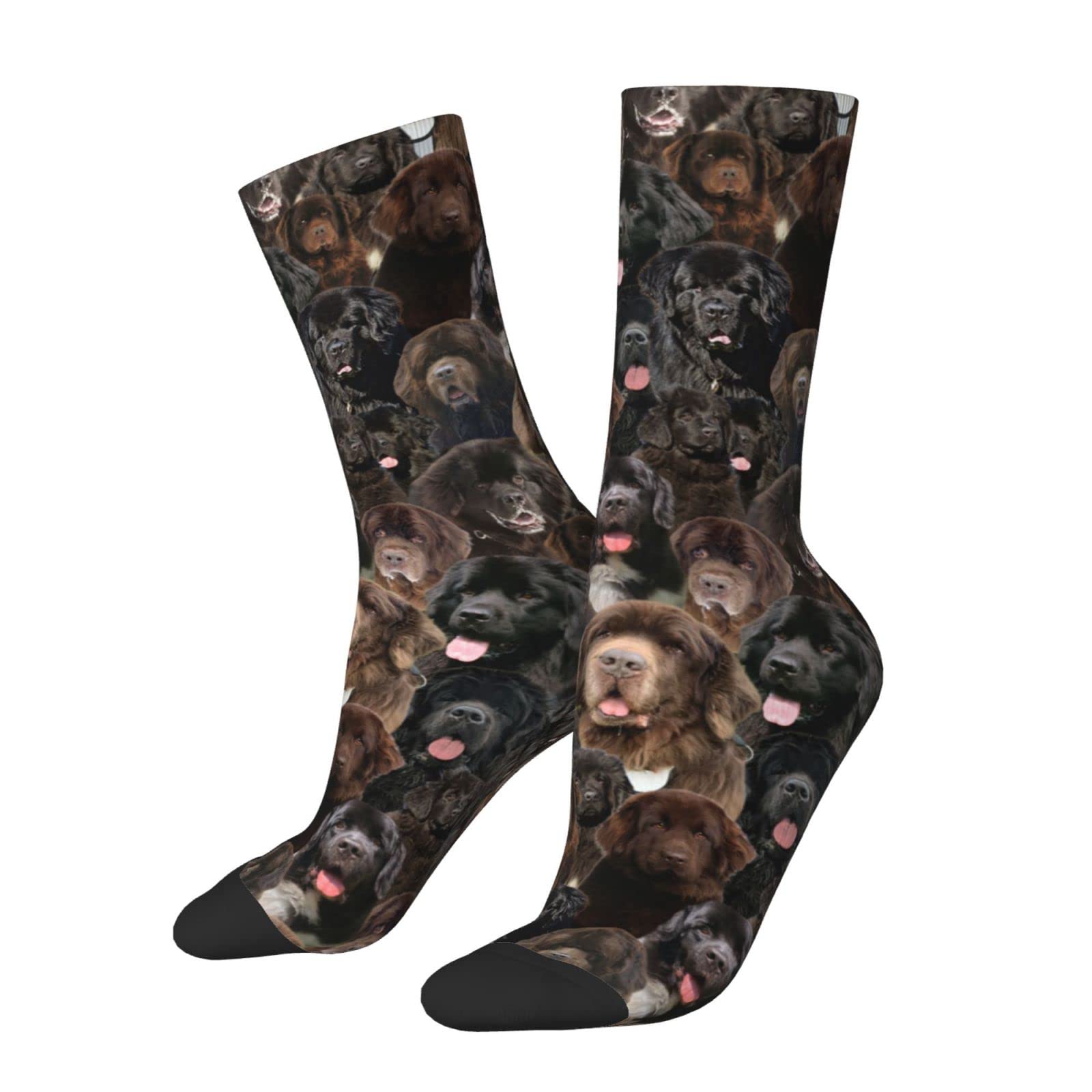 Smazdfxx Unisex As Pic Newfoundland Dog Socks For Women Men, Dog Print Crew Socks