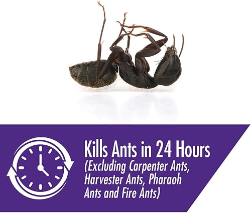 Miniatura 4 de STEM Cebos líquidos para hormigas, mata a la reina y la colonia, para uso en interiores, 8 estaciones de cebo a prueba de derrames