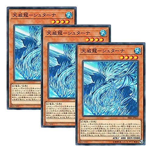 y 3Zbg zVY { RIRA-JP013 CO VЗ|V^[i (m[})