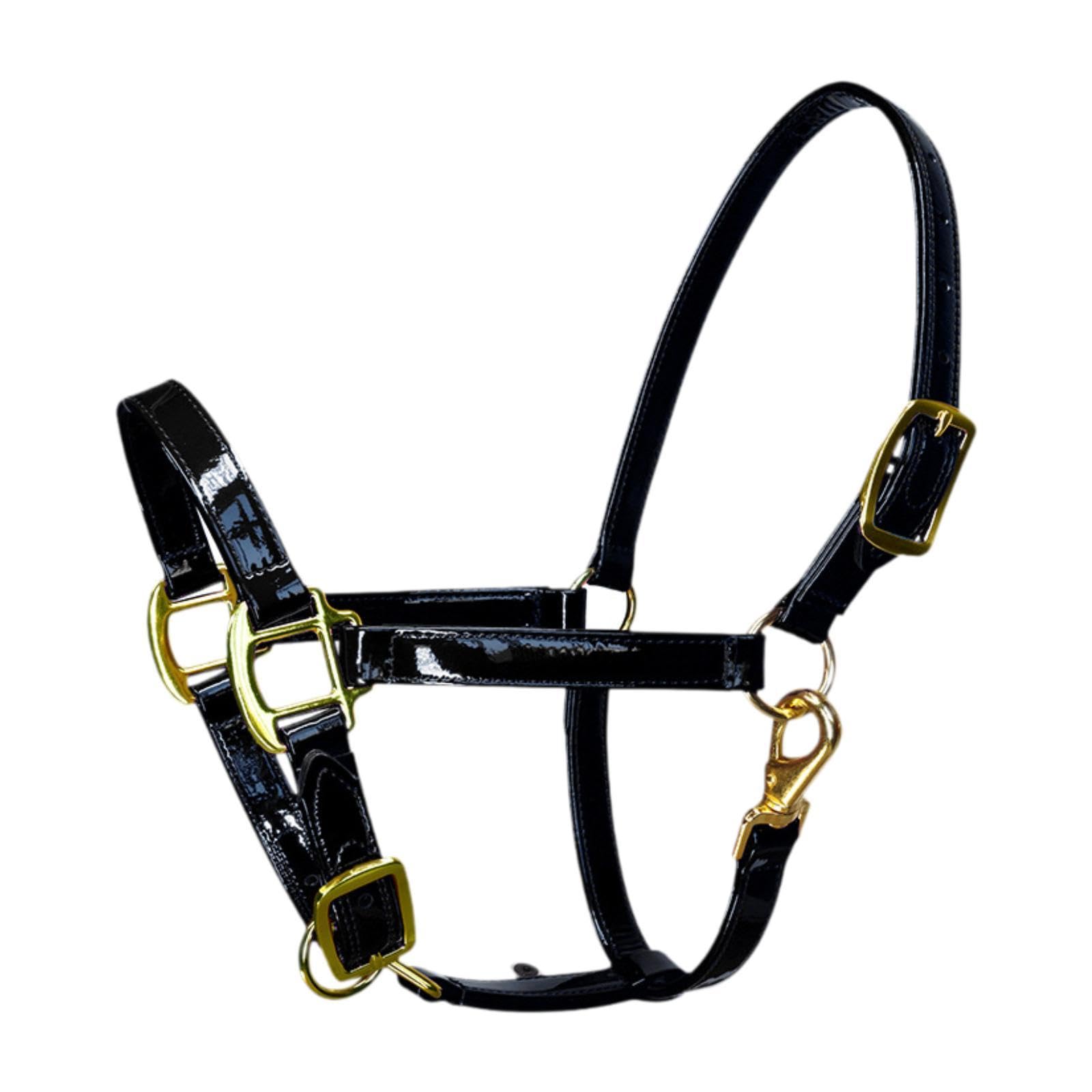 rockible Cabezada Caballo Ligera y Acolchada con Cuerda para Entrenamiento y práctica en competiciones.