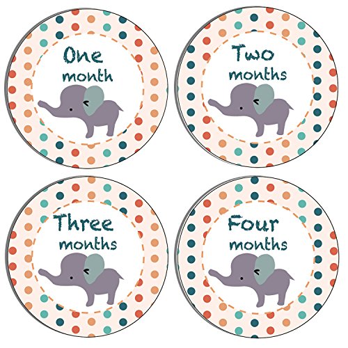 Baby Monthly Stickers! Milestone Markers, Stepping Stones, Peel and Stick, Boy and Girl. Good For: Capturing your baby's memorable moments one month at a time.
