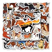 50 Pcs Retro Horse Stickers Set, Self-Adhesive Waterproof Stickers for Scrapbooking, Journal, Album, Phone Case, Laptop, Card Making,Bike,Cartoon Horse Gift Decals for Kids Boys Adult