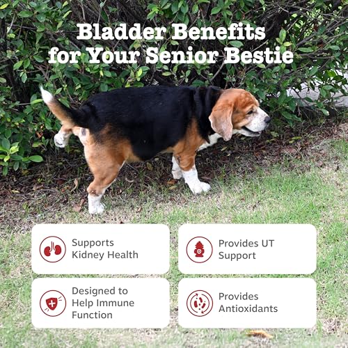 Image of Zesty Paws Senior Dog Supplement - Bladder Control for Dogs, Chicken 90ct