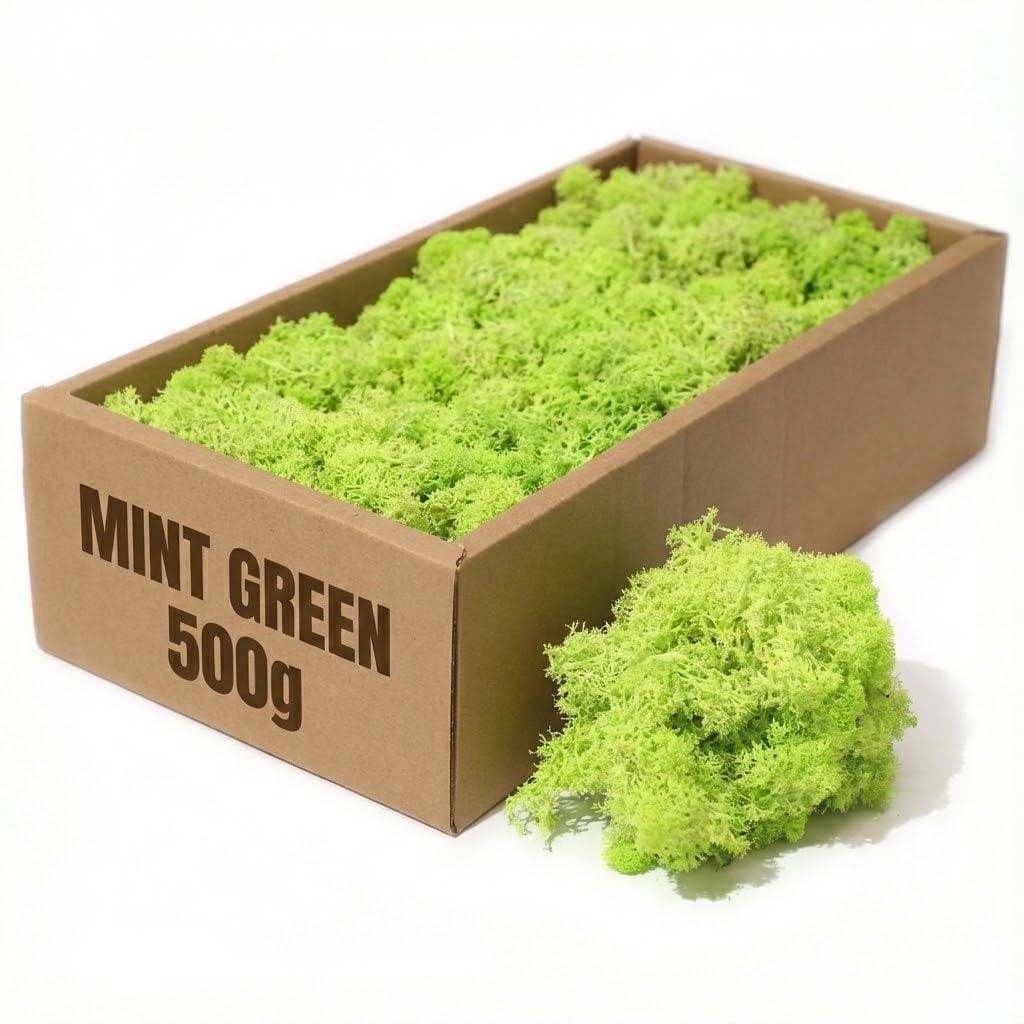floral supplies Stabilised Reindeer Moss – Preserved Lichen for Model Scenery, Railway Landscapes, Terrariums, Floristry & Art Crafts – Soft Texture & Maintenance Free (Mint Green, 100g)