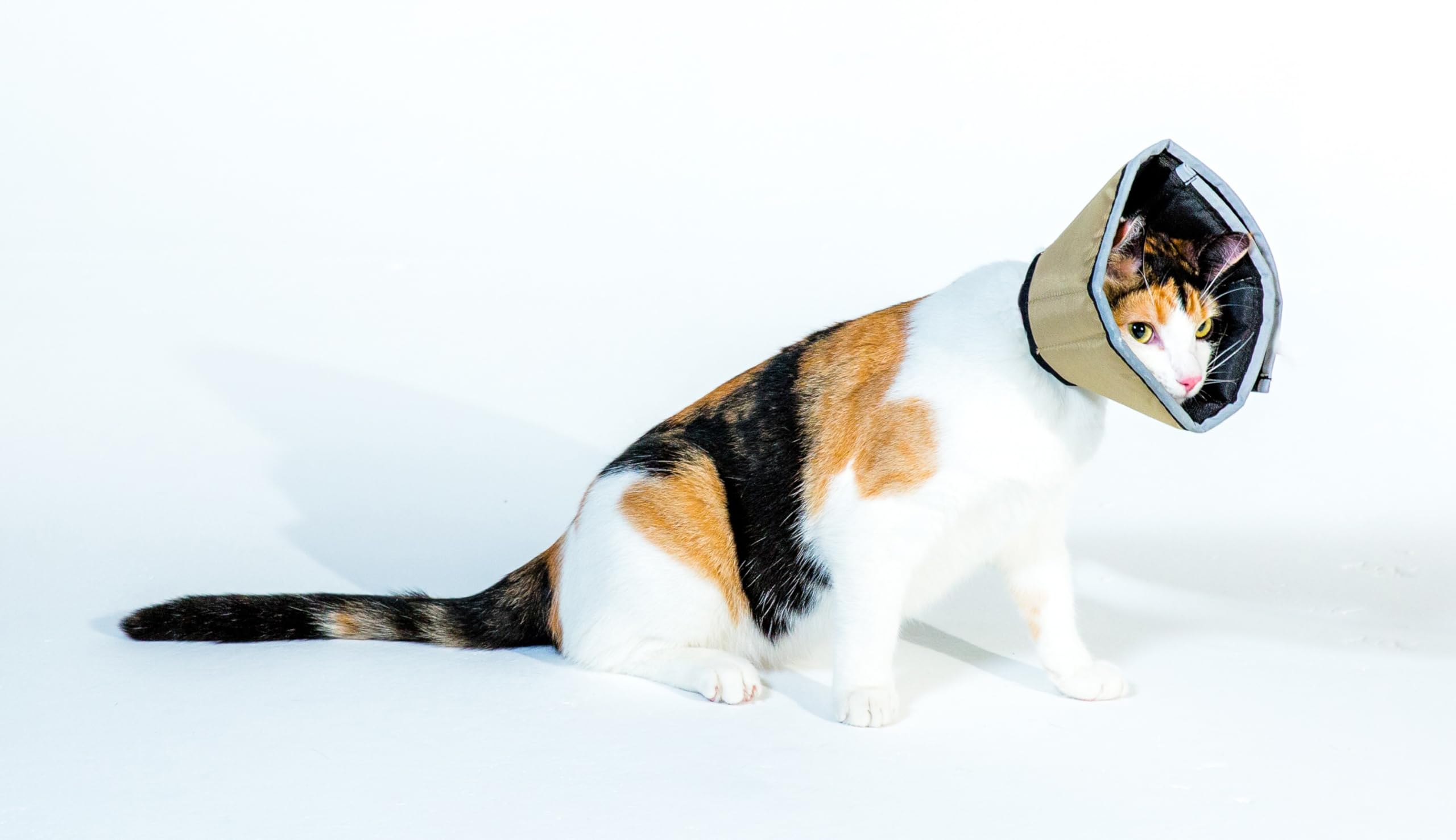 The Comfy Cone Pet Recovery Collar by All Four Paws, Small, Tan,Small 14 cm