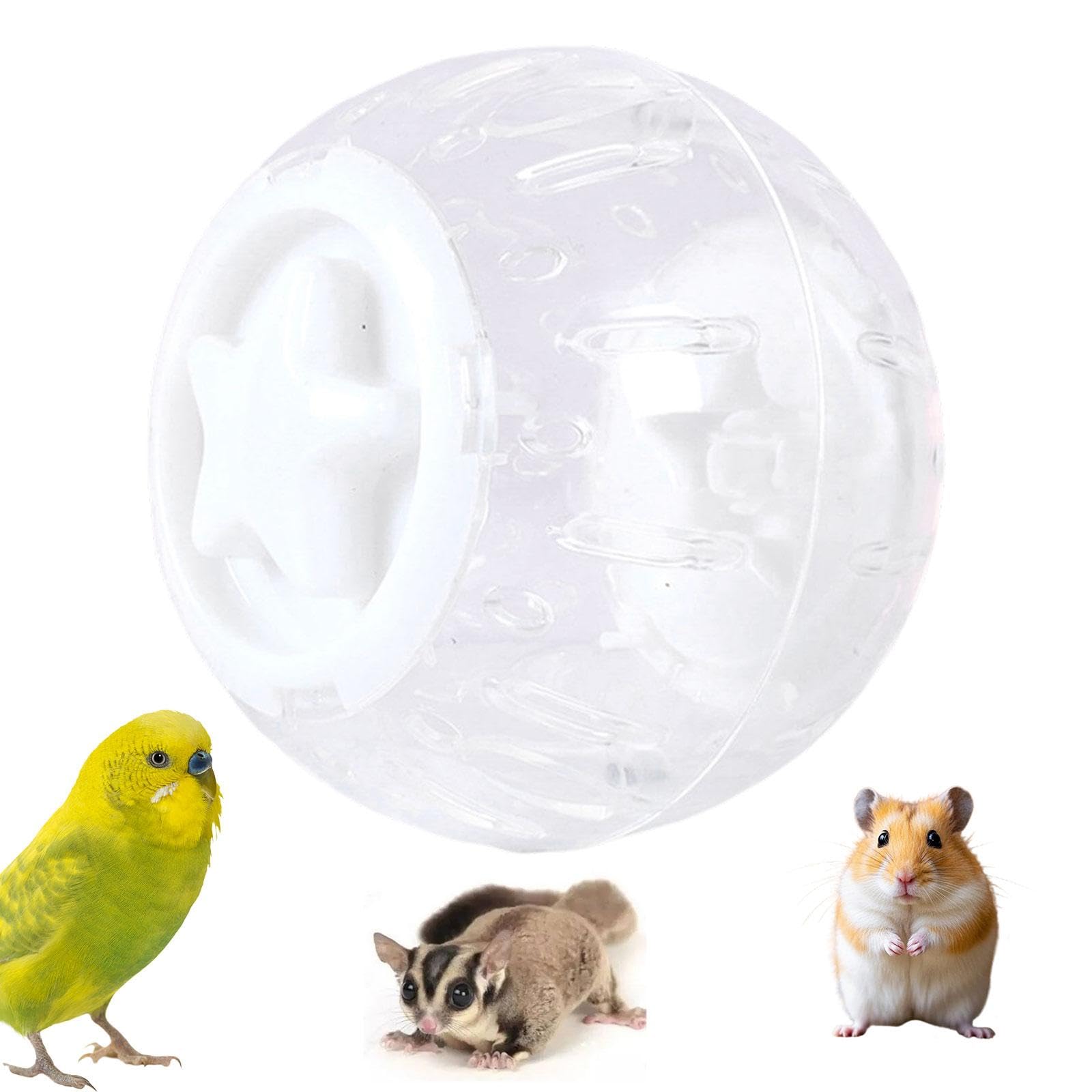 Hamster übungsball mit Belüftetem Laufball Transparentem Bewegungsrad Aktivitätsspielzeug Und Zubehör Aus Beständigem Pp für Zwerghamster Haustierpfle, Weiß
