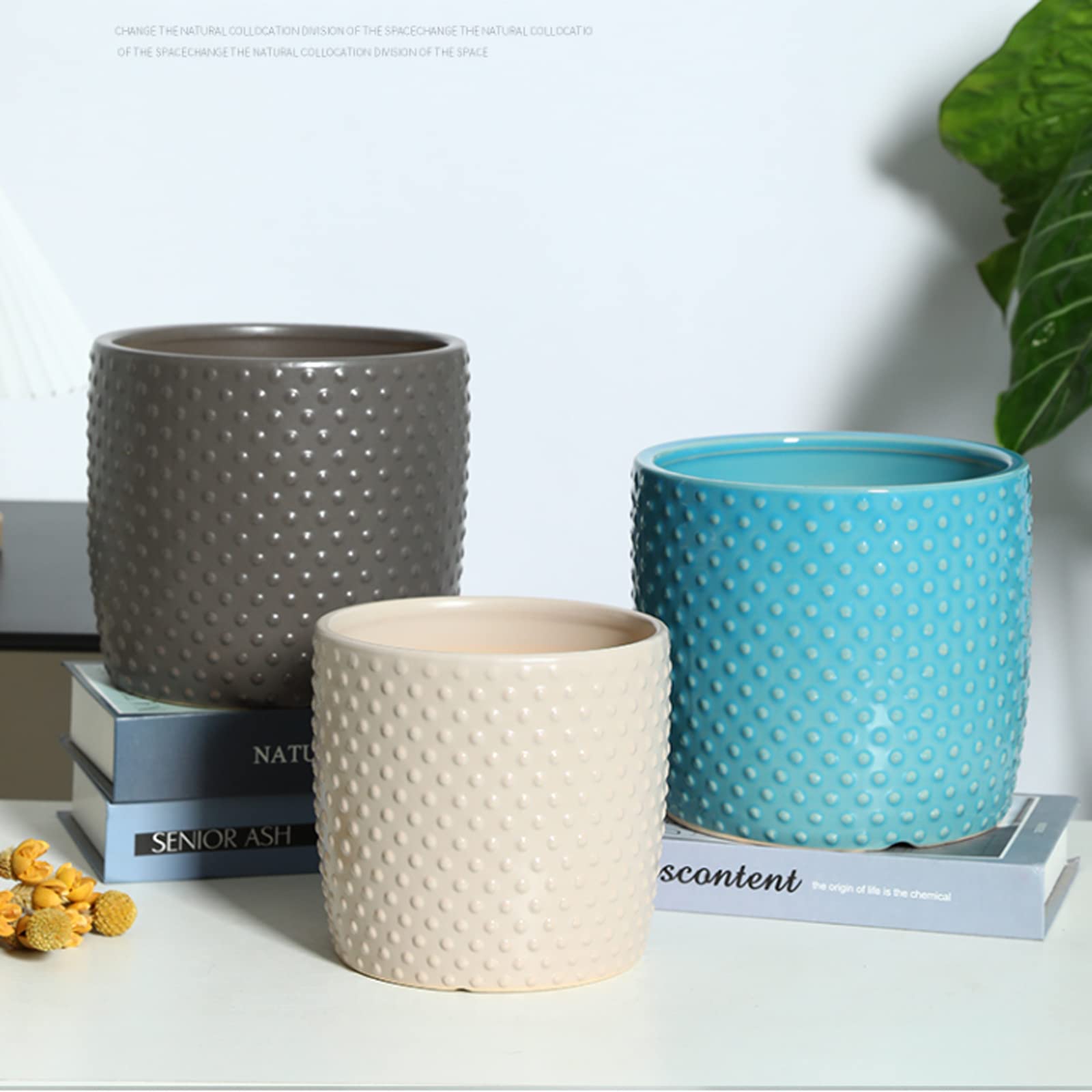 Vasi da Giardino Vasi per Piante in Ceramica per Piante da Interno, Vaso da Fiori a Pois in Rilievo da 5/6/7 Pollici con Foro di drenaggio per Decorare la casa, L'Ufficio