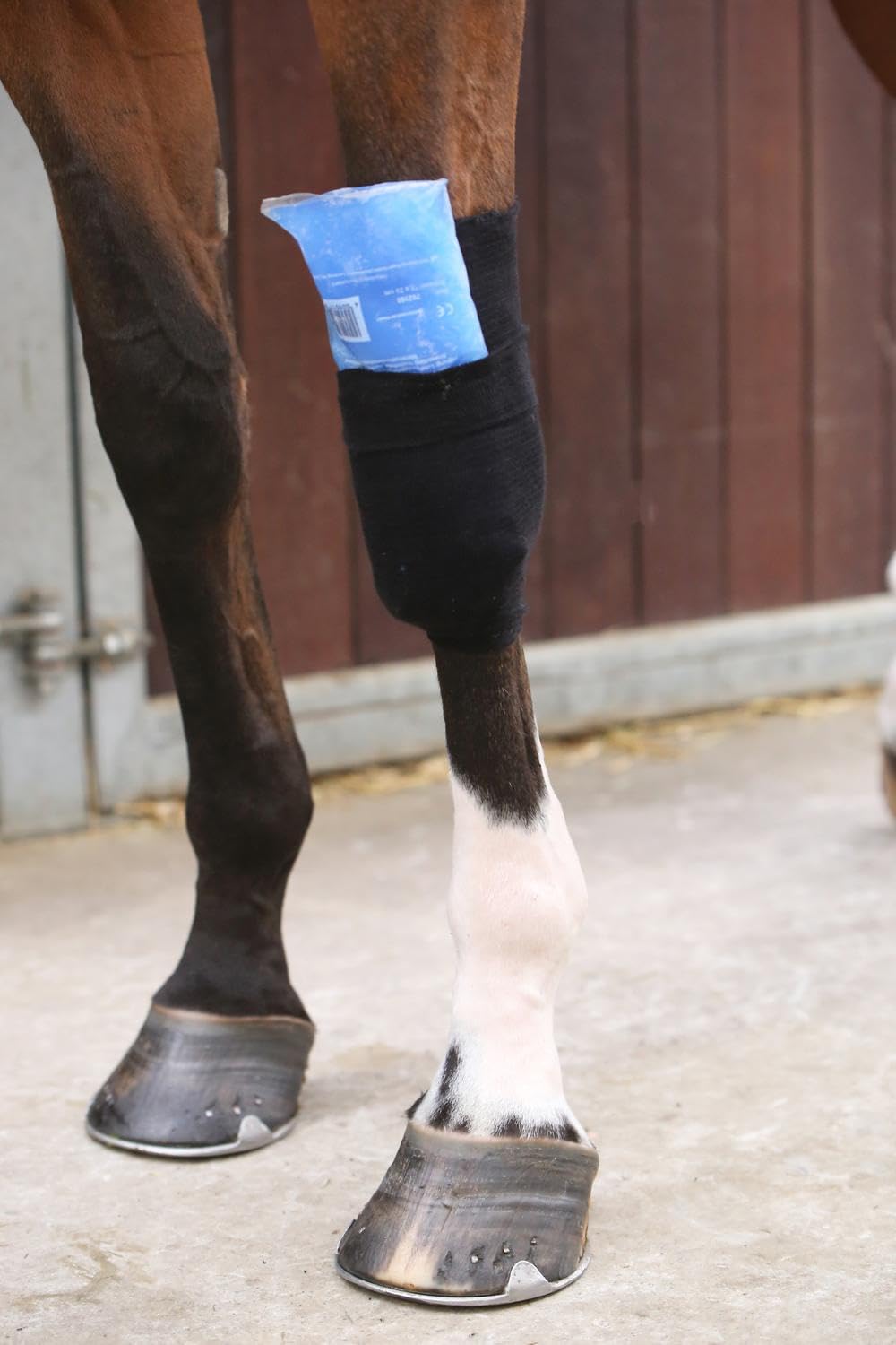 Kentucky - Tendon Grip Bandagenstrumpf schwarz
