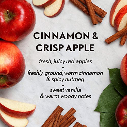 Air Wick Essential Oils Diffuser Mist Refill, Cinnamon And Crisp Apple, 1Ct, Air Freshener (Rac98553) #TOP2