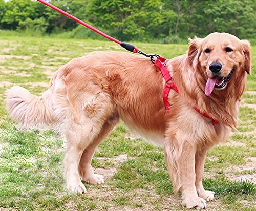 Adjustable Dog Harness Anti-Twist Dog Leash Set for Small Medium Large Dogs, Soft and Durable Vest Harness Leash for Daily Training Walking Running and Easy Control