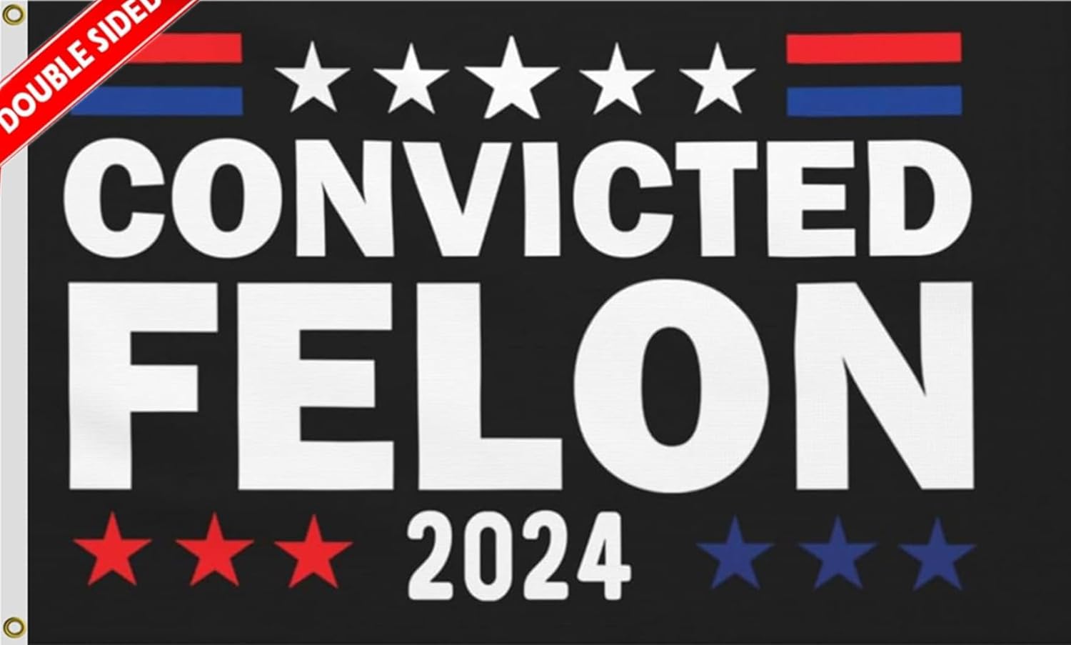 Double Sided 2024 Boat Flag Convicted Felons Boat Flag 12x18inch,Premium Quality,Vibrant Colors,2024 Flags with 2 Brass Grommets for Boat. (boat)