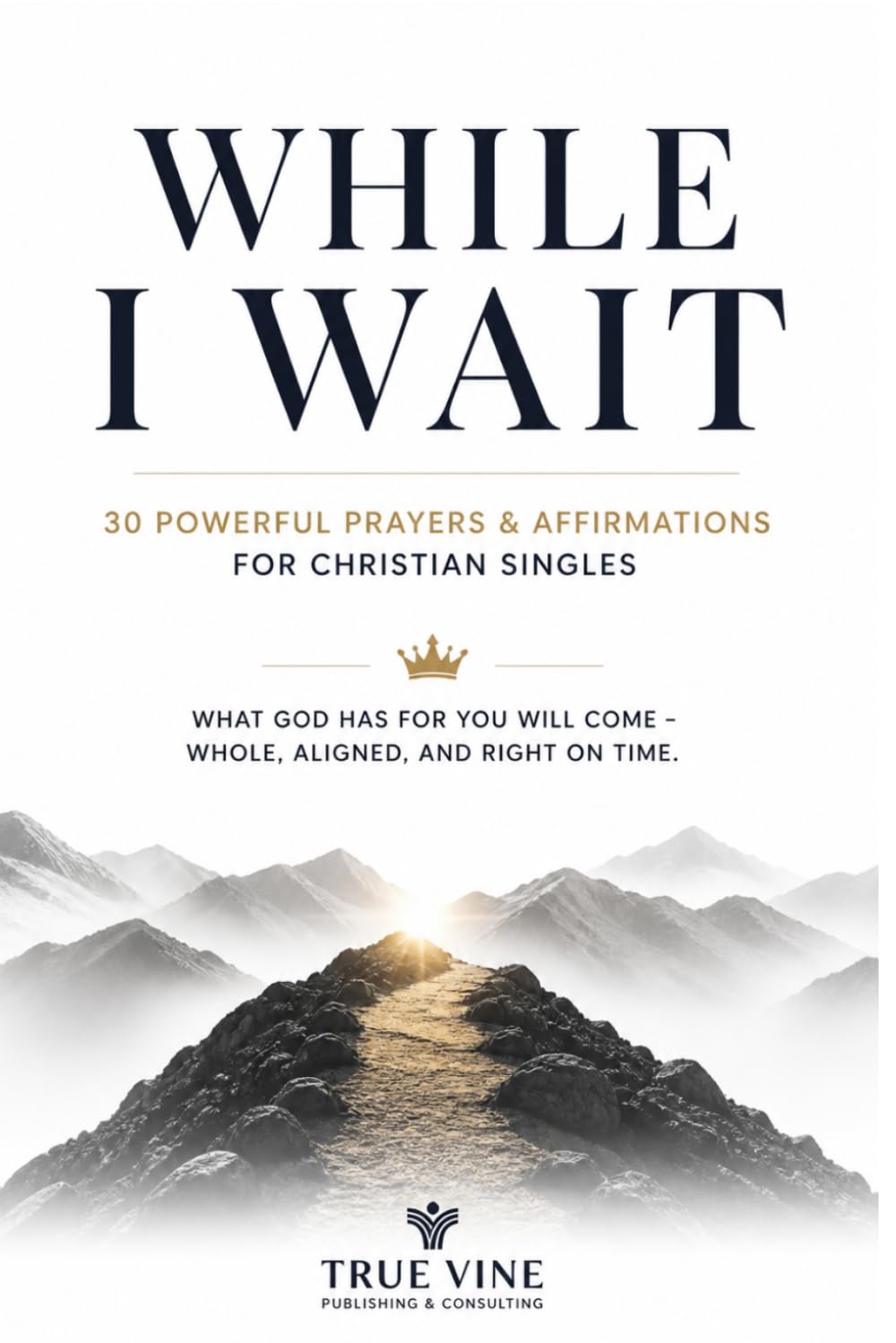 While I Wait: 30 Powerful Prayers and Affirmations for Men Trusting God’s Timing