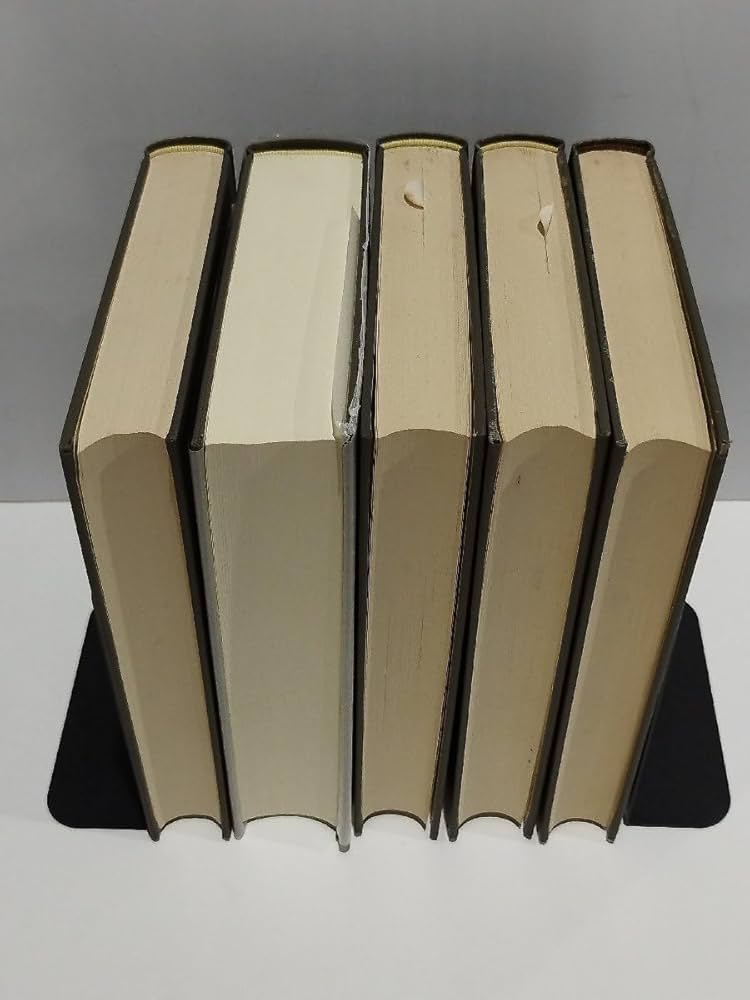 絶版参考書セット Amazon.co.jp: 【5冊セット講座敦煌 1/2/3/5/8 敦煌の自然と現状/敦煌