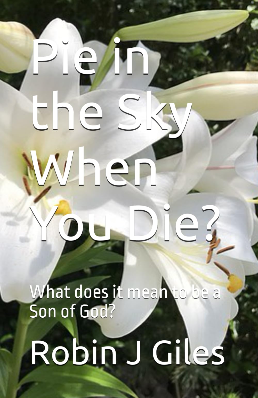 Pie in the Sky When You Die?: What does it mean to be a Son of God?