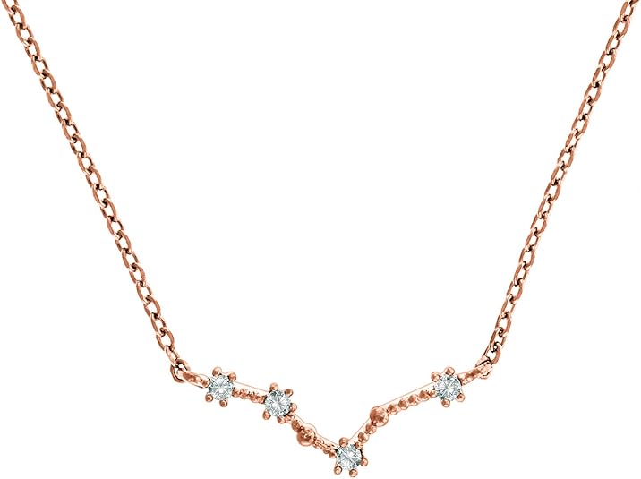 PAVOI 14K Gold Plated Astrology Constellation Horoscope Zodiac Necklace 16-18