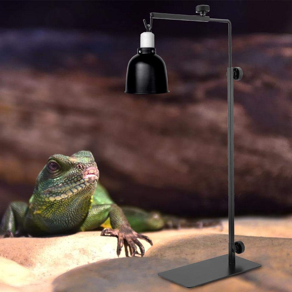 Soporte de bombilla de calentamiento de tortuga ajustable Reptil Soporte de lámpara de calentamiento Pantalla de calentamiento para terrario de reptiles Pollos criador de mascotas (sin bombilla)