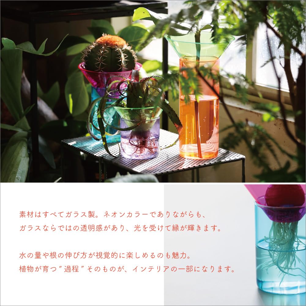Amazon.co.jp: 上下セパレート構造 ネオンカラー ガラス製 フラワー