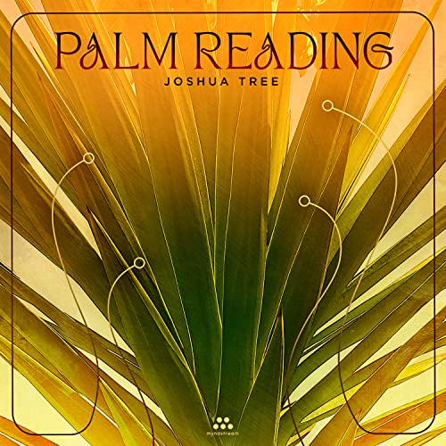 Palm Reading