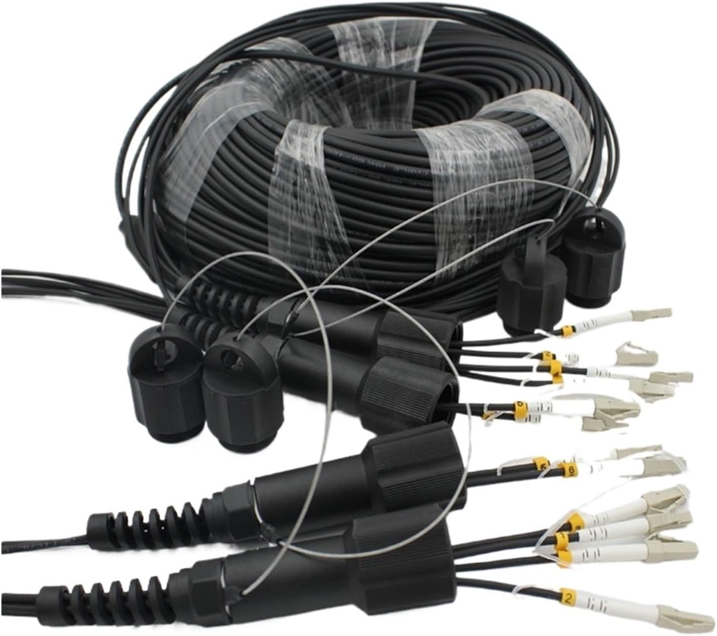 美品 掛け軸 国井道成作 名号「南無阿弥陀仏」本尊熊皮御影 親鸞聖人