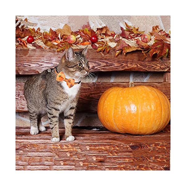 Adoggygo halloween cat collars with bow bell, breakaway cat collar with bowtie pumpkin ghost cat kitten collar for girl boy cats kittens (halloween) - image 4