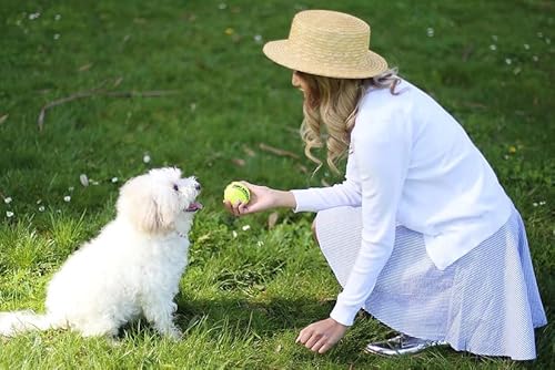 Petsport Tennis Ball Dog Toys | 24 Pack Medium (2.5") Pet Safe Non-Toxic Industrial Strength Felt & Rubber Tuff Balls | Play Fetch, Launch, Chuck Or Toss At Dog Park #TOP4