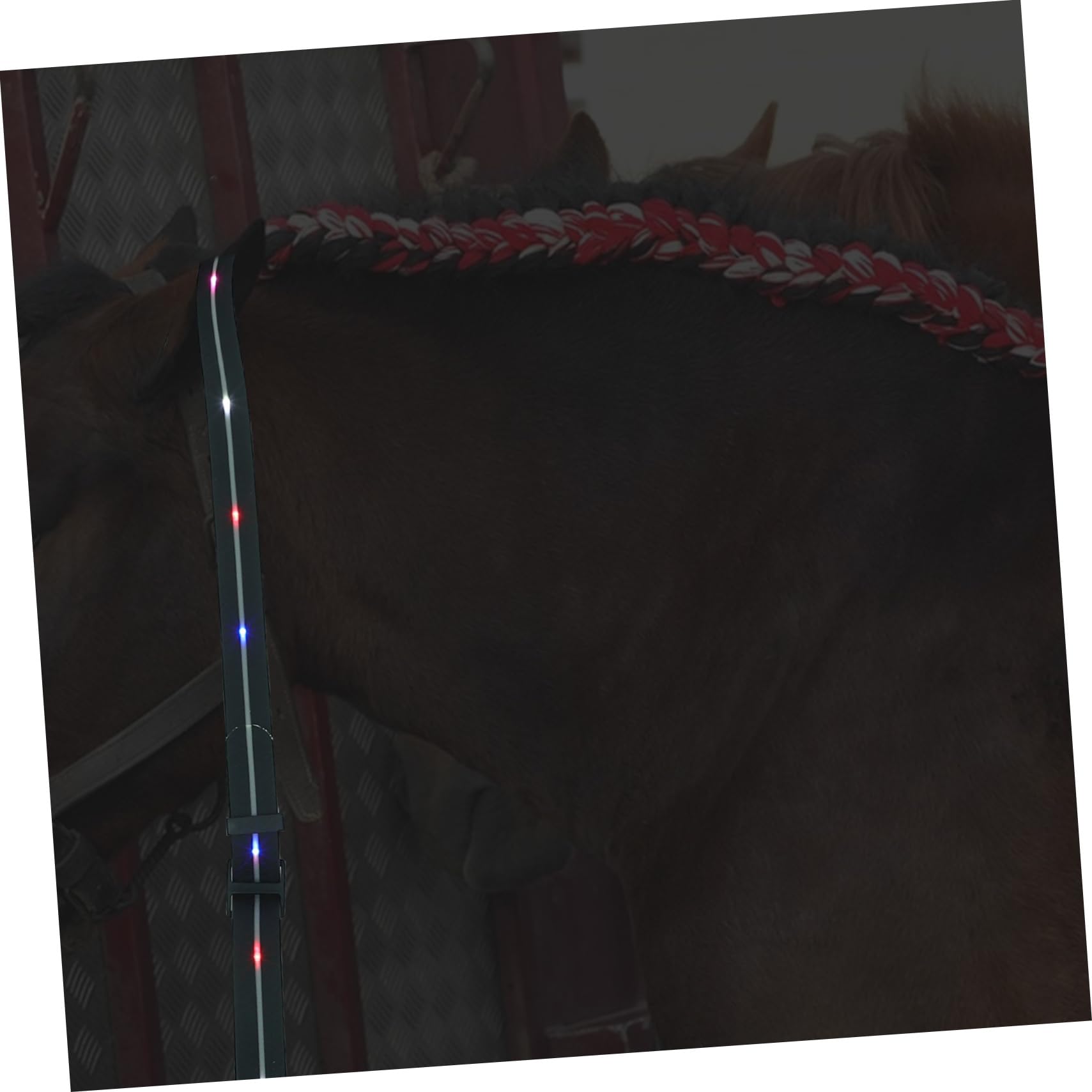 KOMBIUDA Correa Luminosa Ajustable Para Montar A Caballo Collar De Pechera Led Para Caballos