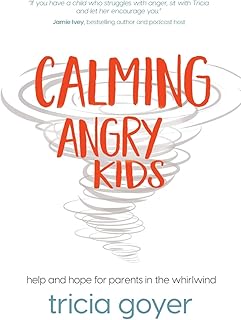 Calming Angry Kids: Help and Hope for Parents in the Whirlwind