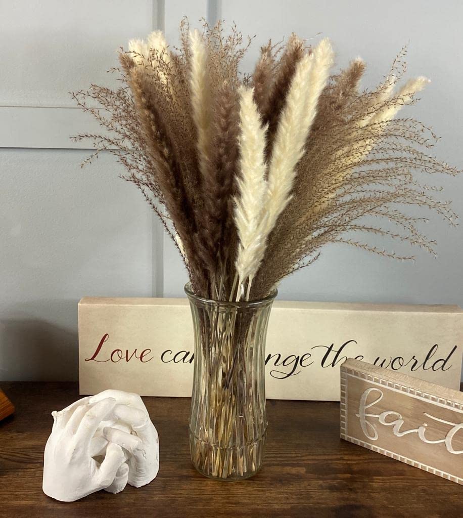 準備中　パンパグラス Amazon｜Jhoward パンパスグラス60個 | ホワイトパンパ15個 ブラウン