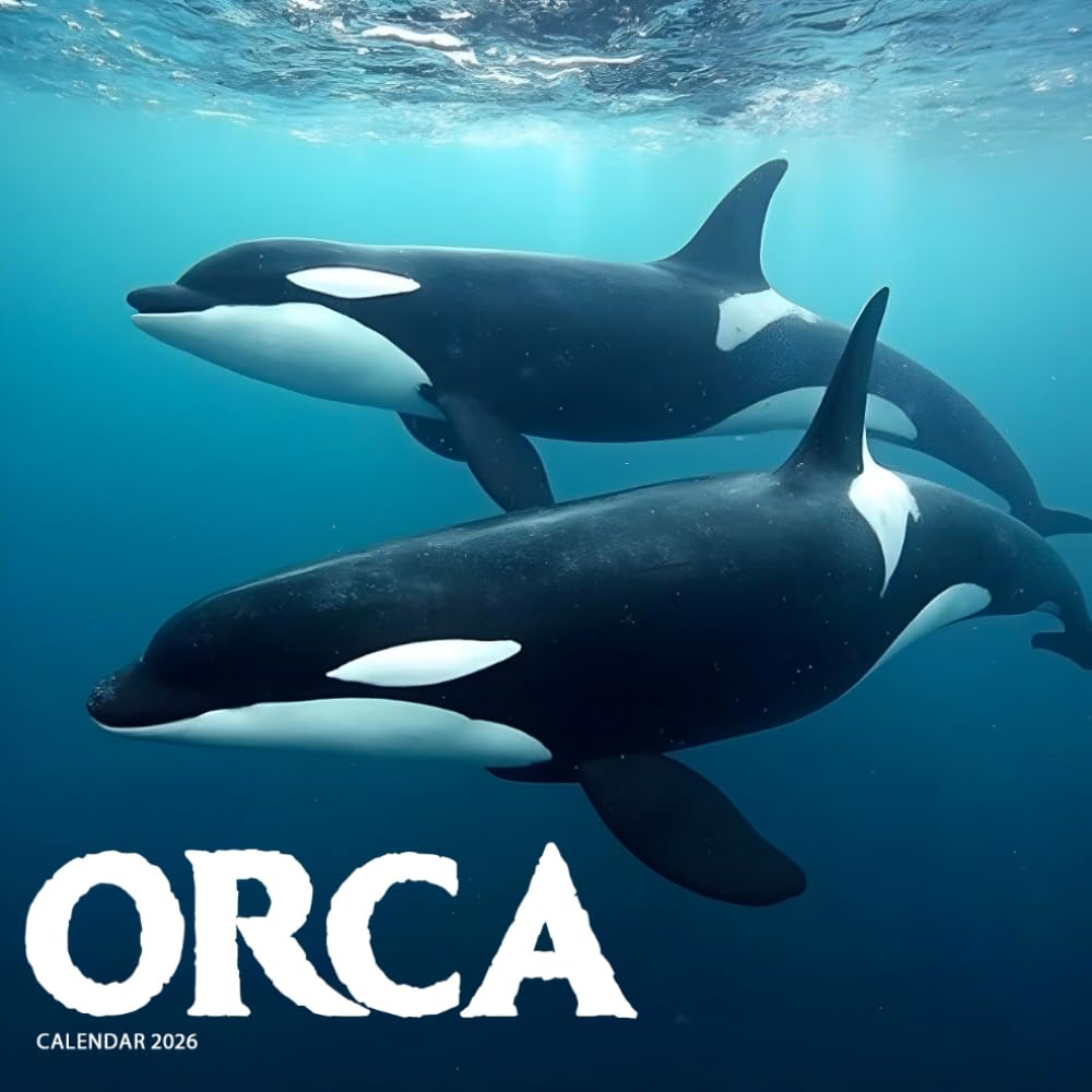 Orca 2026 Calendar: Killer Whales and Ocean Majesty