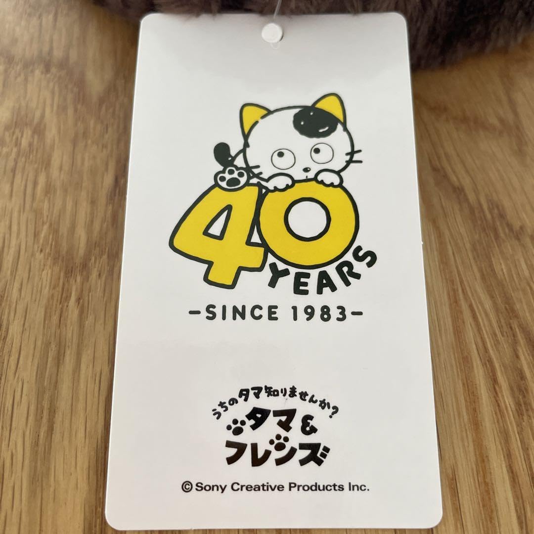 Amazon.co.jp: うちのタマ知りませんか？ポチたま べー BEH : 楽器