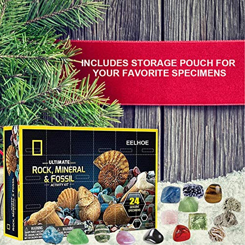 OLOPE Rocks & Fossils Kit, Earth Science Kit, Rock & Mineral Collection Activity Kit, 24 Piece Rocks Collection 2020 Count Down Advent Calendar, Educational Toys for Kids (Multicolor)