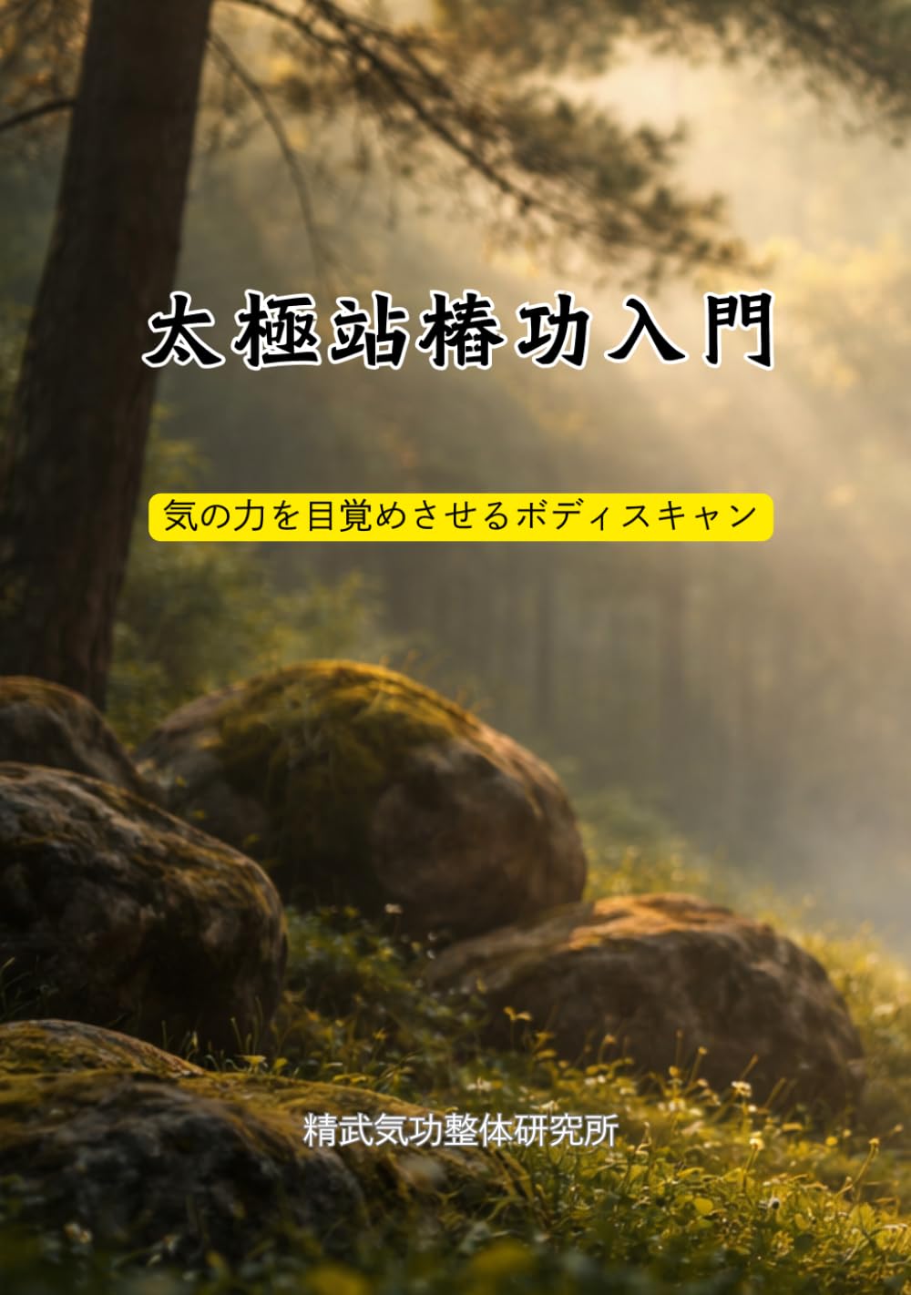 太極站樁功入門: 気の力を目覚めさせるボディスキャン