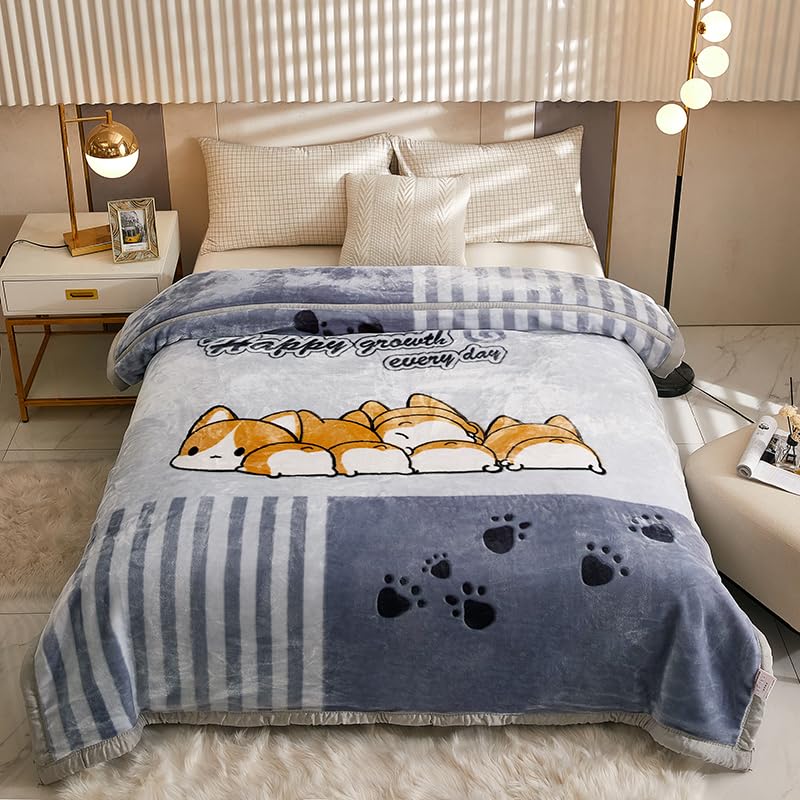 Korean Mink Warm Winter Blanket King Size 79x91inch,9LB Heavy Fleece Plush Blanket Silky Soft and Warm,2 Ply Reversible Raschel Bed Blanket