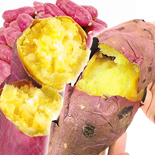 ܂ Ñ&ȂƋ Hה׃Zbg 210kg Hi