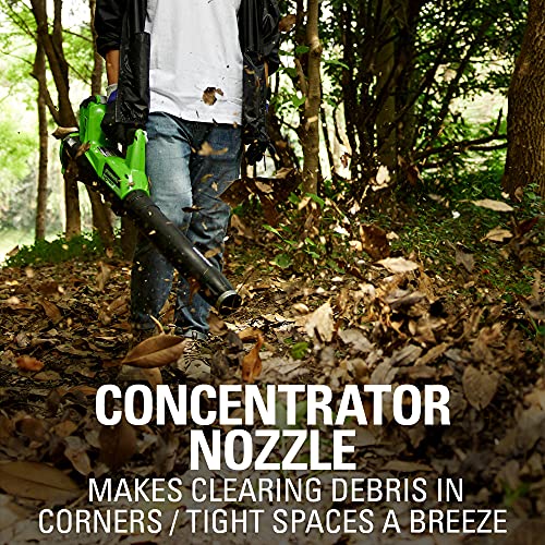 Greenworks 40V (115 Mph / 430 Cfm) Brushless Cordless Axial Leaf Blower, 2.0Ah Battery And Charger Included #TOP7