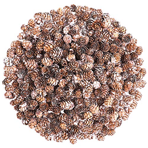Cooraby 220 Pieces Micro-Mini Snow Pine Cones Christmas Snow Pine Cones Ornaments for Home Decoration, Fall and Christmas Crafts