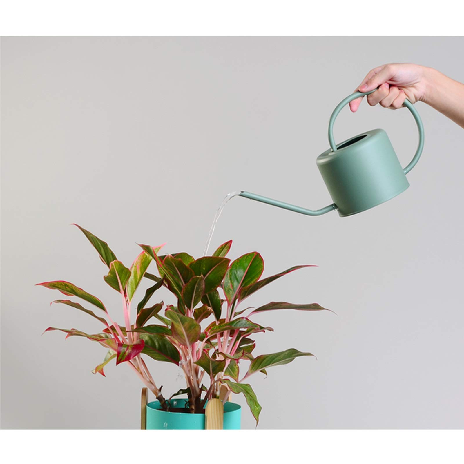 Arrosoirs galvanisés Arrosoir de Style Moderne avec poignée, pour Plantes d'extérieur et d'intérieur Bec verseur d'eau Gushe (C)