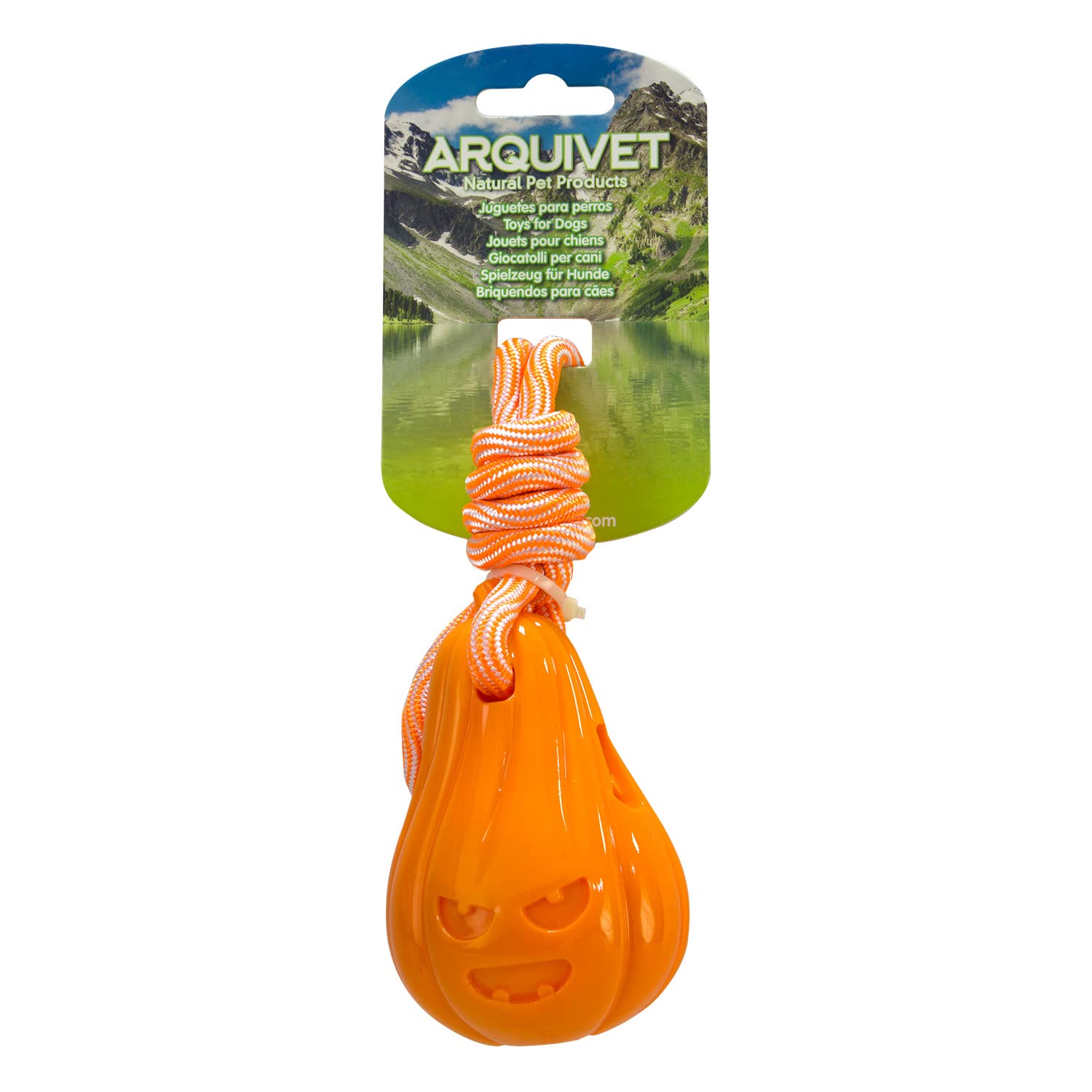 Arquivet Pumpkin with Rope - Dog Toys for All Ages - Dog Chew Accessories - Plastic Chew Toy - Games and Entertainment - Image 3