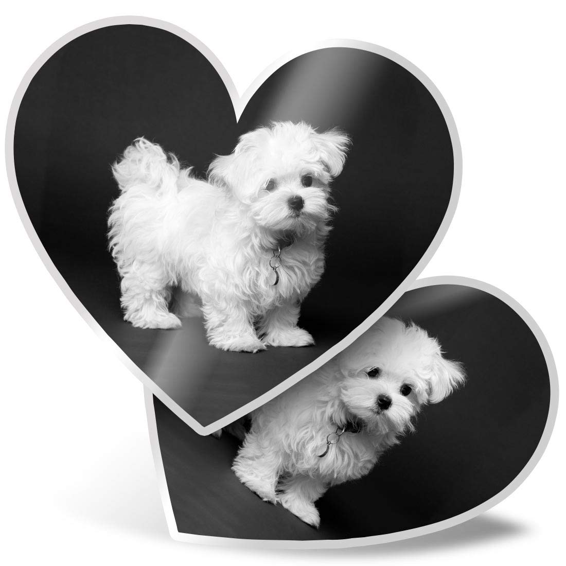 2 x Heart Vinyl Stickers 7.5 cm - Maltese Puppy White Dog Pet 43175