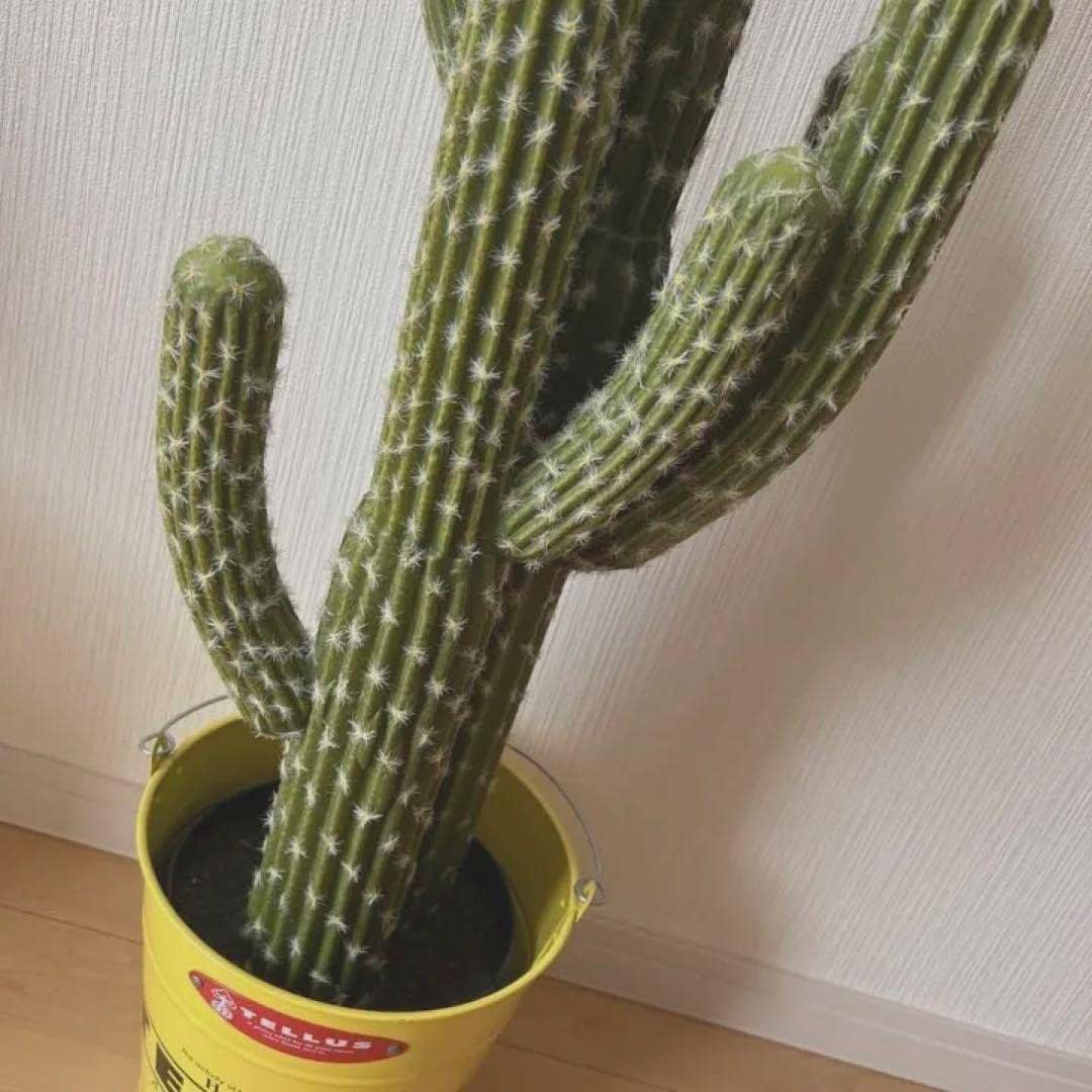 サボテン　フェイク観葉植物　海　夏　インテリア雑貨　お洒落グリーン　西海岸 サボテン フェイク観葉植物 海 夏 インテリア雑貨 お洒落グリーン