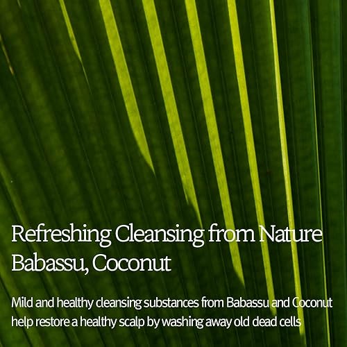 Miniatura 4 de Set de regalo para el cabello – Signature Shampoo & Conditioner Set de 33.8 onzas líquidas (2 x 16.9 onzas líquidas) / 6 proteínas hidrolizadas, 11