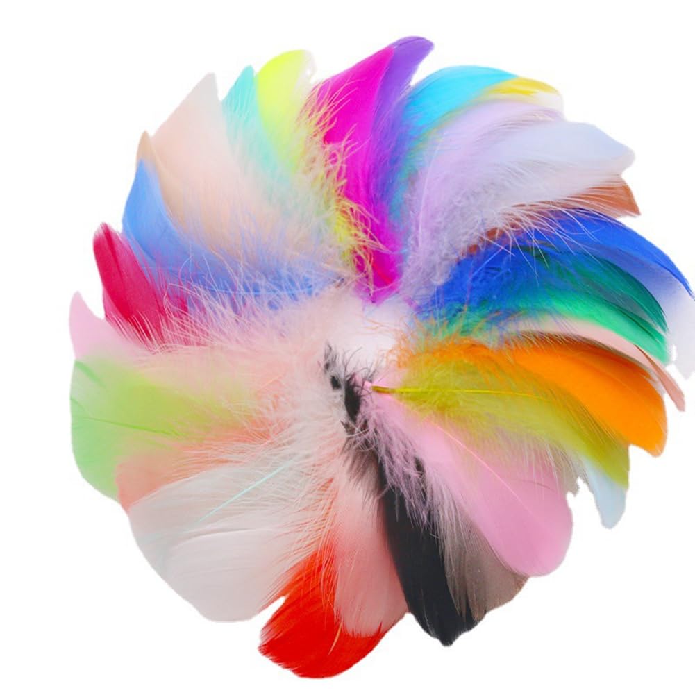Colexy 100 Pièces Plumes Colorées, Naturelles D'oie Plumes Multicolores Plume Décoration, Pour Bricolage Dream Catchers Mariage Fête D'anniversaire Décorations(Macaron Mixcolors