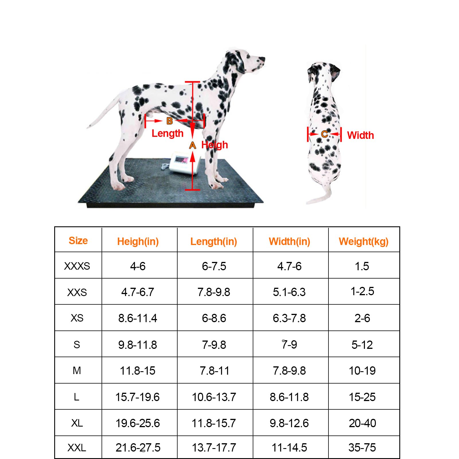 Verstellbarer Haustierrollstuhl Mit Voller Unterstützung, 4 Räder, Hundewagen, Vorder- Und Hinterbeine, Rehabilitation Für Behinderte Kleine Hunde, Hündchen, Welpen, Katzen,S