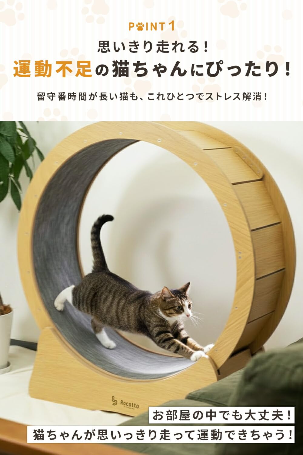 Amazon.co.jp: [Rocotto] キャットホイール 木製 静音 ストッパー付き