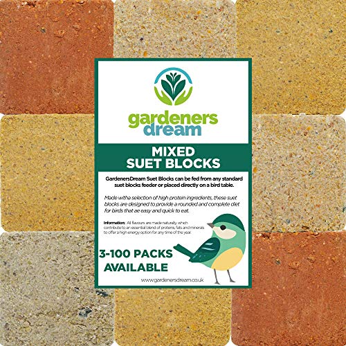 GardenersDream Suet Fat Blocks | Premium Garden Wild Bird Food | Enhanced Formula | Naturally Blended High in Energy & Protein-Rich Feed | Full of Nutritious Fibre & Moisture (Mealworm 3)