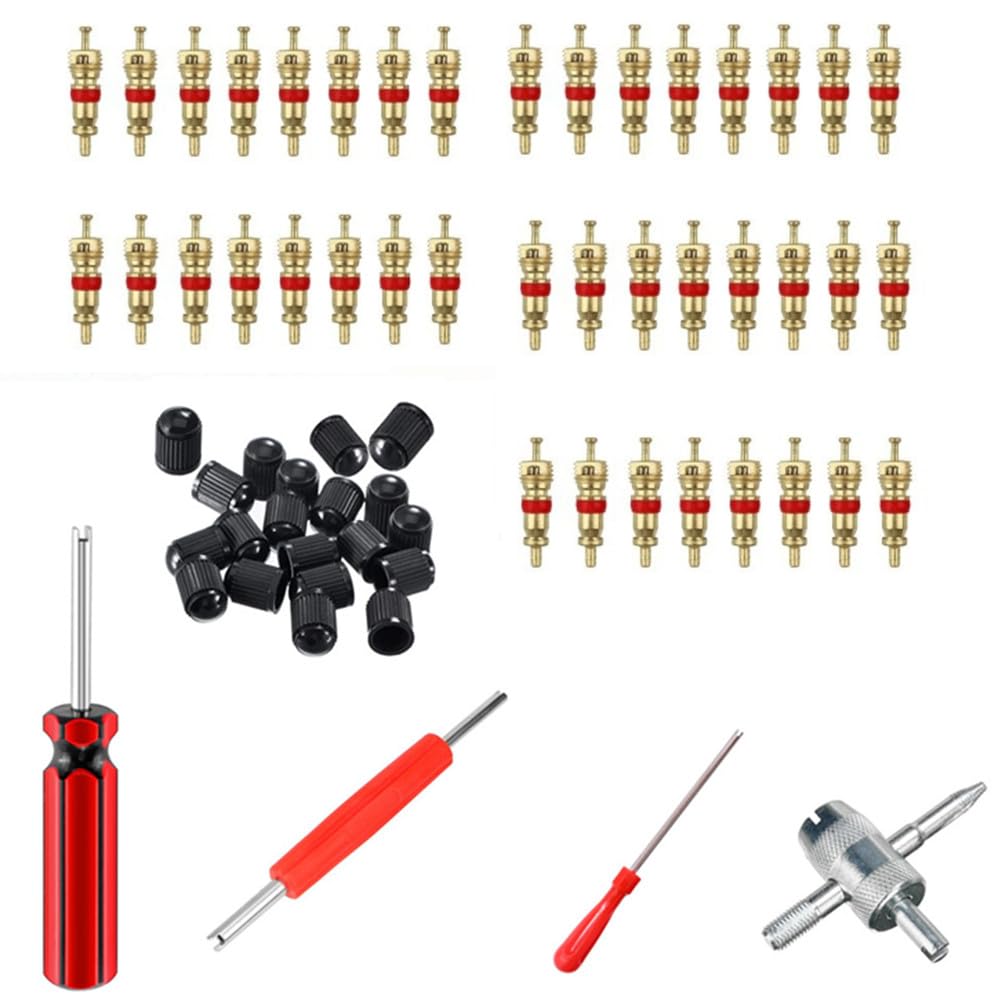 Valve Stem Removal Tool Kit, 64 Pcs Tire Valve Cores,4-Way Valve Tool, with Valve Stem Caps, Valve Cores Dual Single Head Valve Core Remover Tire Repair Tool