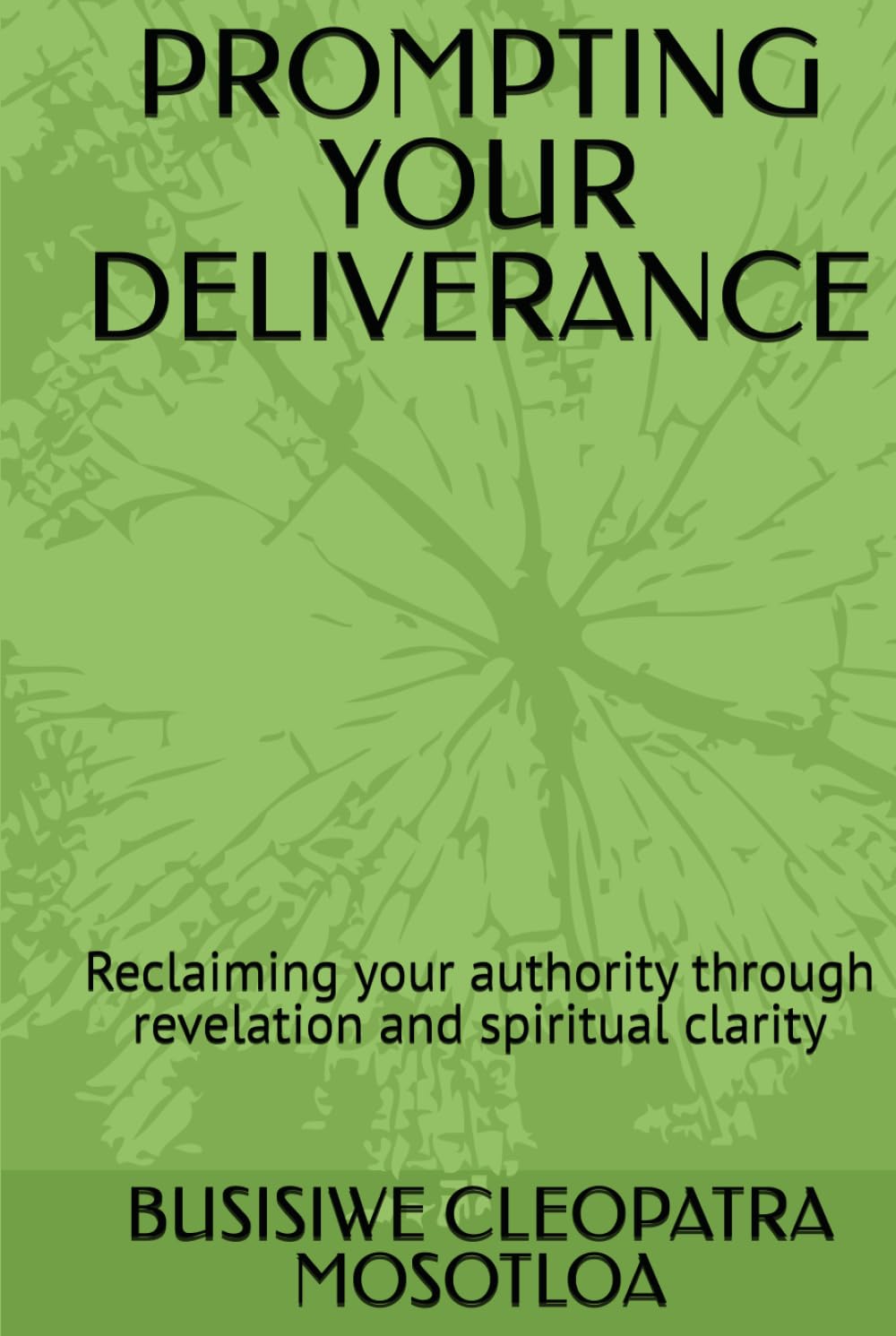 PROMPTING YOUR DELIVERANCE: Reclaiming your authority through revelation and spiritual clarity