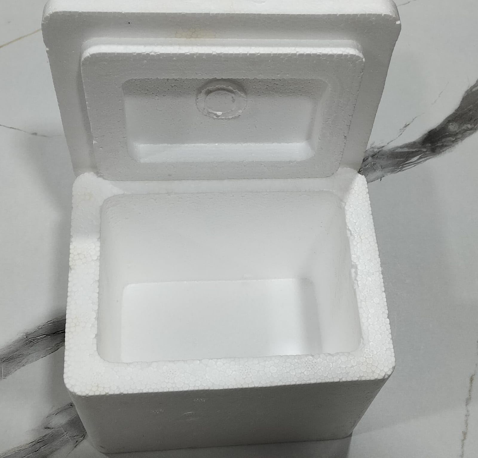 Insulated Ice Box - 1L Keeps Food Cool -3