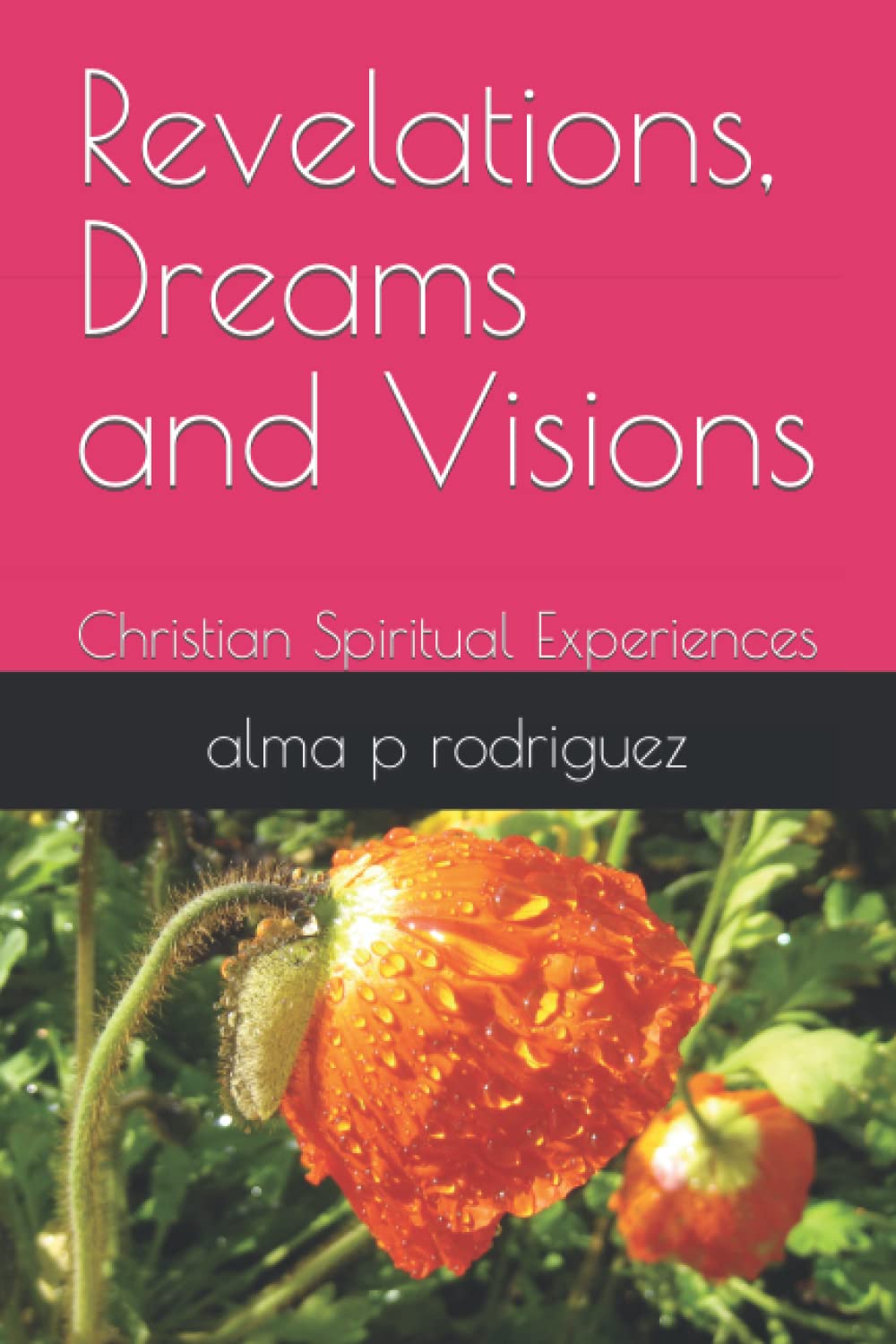 Revelations, Dreams and Visions: Christian Spiritual Experiences